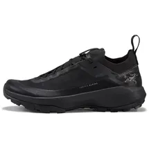 Arc'teryx Arcteryx Herren Vertex Alpine GTX Schuhe (Größe 44.5 , schwarz)