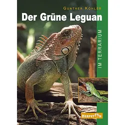 Der Grüne Leguan im Terrarium