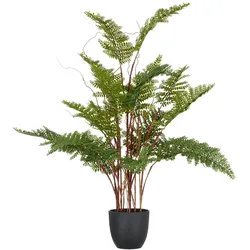 Kunstpflanze CREATIV GREEN "Adlerfarn", grün, H:70cm, Kunststoff, Kunstpflanzen, mit zahlreichen Farnwedeln
