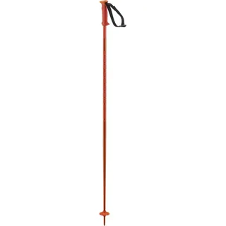 Salomon Polar Cherry Tomato, 120