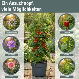 Prosperplast Tomatentopf Ø 34,5 cm Rot