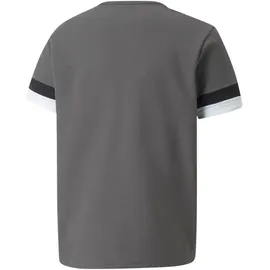 Puma Teamrise Jersey Jr Grau 152