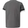 Puma Teamrise Jersey Jr Grau 152