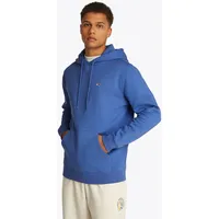 Tommy Jeans TJM REG FLAG Hoodie Dm0dm20742 Kapuzenpullover, Blue