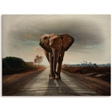 Artland Holzbild »Ein Elefant läuft auf der Straße«, (1 St.), braun