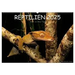 REPTILIEN (Wandkalender 2025 DIN A2 quer), CALVENDO Monatskalender