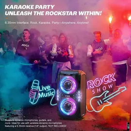 W-King 270W PEAK Bluetooth Lautsprecher schwarz