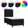 vidaXL Boxspringbett 100 x 200 cm Schwarz