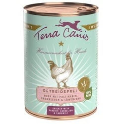 Terra Canis Getreidefrei Adult 6x400g Huhn mit Pastinaken, Brombeeren & Löwenzahn