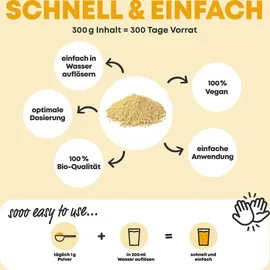 yes vegan! Yes Vegan® Ingwer Shot mit Kurkuma - Pulver