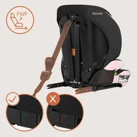 lionelo Levi Fix i-Size Rosa