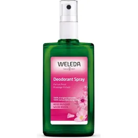 Weleda Wildrosen Deodorant 100 ml