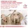 Royal Canin Urinary S/O Ageing 7+ 8 kg