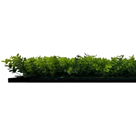 JANGAL Wandpaneel Modular Wall 52 x 52 cm mixed green buxus