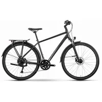 R Raymon Zayn Pro 2025 grau 28 Zoll RH 48 cm