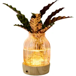 Tchibo - Wasserpflanze im Glas mit LED »Calathea« - grün