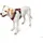 Hunter Maldon Hundegeschirr Rot/Grau XS