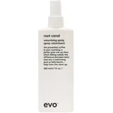 Evo Root Canal Volumenspray 200 ml