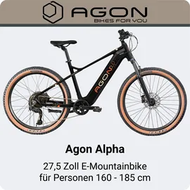 Agon Alpha 27,5 Zoll RH 48 cm Black Beige