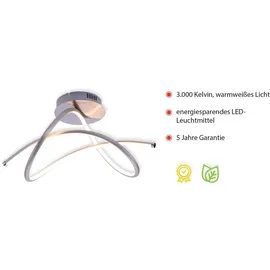 just light. Violetta (15341-55)