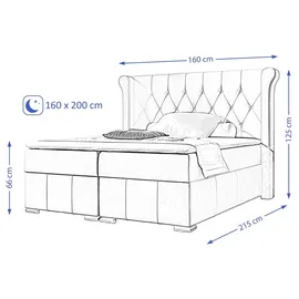 beautysofa Boxspringbett Massi 160 x 215 cm Creme