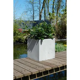 Vivanno Block 50 x 50 x 50 cm Grau