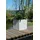 Vivanno Block 50 x 50 x 50 cm Grau