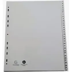 Exacompta 2931E, Grau, Polypropylen (PP), A4