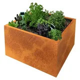 Palatino Clara 60 x 60 x 50 cm Braun