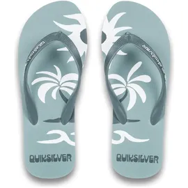 QUIKSILVER Molokai Screen Sandale Sage, 45 EU / 45 EU