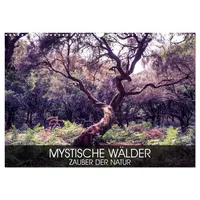 Calvendo Mystische Wälder - Zauber der Natur (Wandkalender 2026