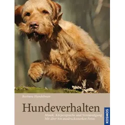 Hundeverhalten