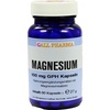 magnesium kapseln 100