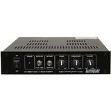 Earthquake Sound XJ-300ST Class J Stereo-Verstärker, 320 Watt, 12 V Trigger Gold