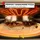 Tefal Pizza Pronto orange