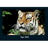 Vero Kalender Tiger 2026 Fotokalender DIN A4 von Tobias