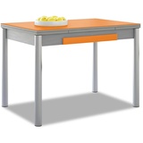 ASTIMESA M.108 100 x 60 2 Flügel mit Schublade, rund, weiß, T-Glas