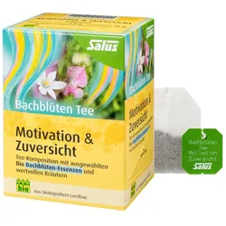 Salus Bachblüten Tee Motivation & Zuversicht 15 St Filterbeutel