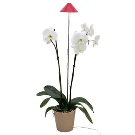 Parus by Venso SUNLiTE 7W LED Pflanzenlampe Rot