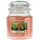 Yankee Candle The Last Paradise mittelgroße Kerze 411 g