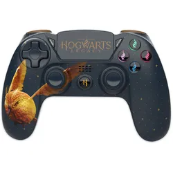 Hogwarts Legacy Goldener Schnatz