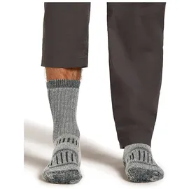 Icebreaker Hike+ Mountaineer Mid Calf Wandersocken 2 Paar Grau 35-37