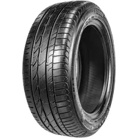 Bridgestone Ecopia ER300A RoF 205/55 R16 91W