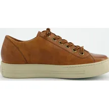 Paul Green 4081 cognac 40