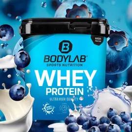 Bodylab24 Whey Protein Blaubeere Pulver 1000 g