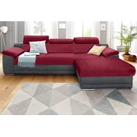 sit&more Ecksofa Xenia L-Form, wahlweise mit Bettfunktion grau