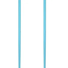 Head Worldcup Sl Skistöcke, Speed Blue/Black/White, 110