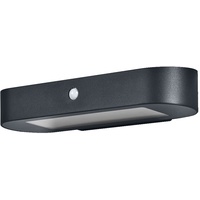 LEDVANCE ENDURA Style Oval Solar-Wandleuchte, kaltweißes Licht (4000K),