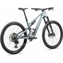 Specialized Stumpjumper 2025 29 Zoll RH 3 cm Unisex Gloss Seafoam / Silver Dust