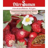 Dürr-Samen Monatserdbeeren Rügen